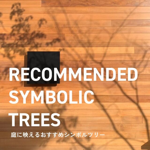 ご家族の思い出や家の顔となる“シンボルツリー”
皆さんのお家にはありますか？

植栽1本と照明1つだけで、ぐっと雰囲気が上がります。
低木や鉢植えでも植栽は暮らしを豊かに彩ります。
弊社物件でのシンボルツリーをご紹介！

家は人生のシーンに合わせて変えていくもの。
住む人の想いに寄り添うオンリーワンのリフォーム𖥣 𖤣 ⸒⸒
・
非日常を演出する特別な空間。
個性が光る店舗デザイン。
お店に関する看板デザインや、
運営のサポートもご一緒にご相談受け付けております。
・
問い合わせ𓂃٭
電話とSelect工房HPから受け付けております。
@reform_select2008
Tel＞053-489-8555

#Select工房#セレクト工房#4xc#フォーバイシー#REANDY#リアンディ#シンボルツリー#樹木#庭木#オリーブ#アオダモ#ユーカリ#イロハモミジ#落葉樹#紅葉#玄関#坪庭#カフェ#店舗#エクステリア#庭#陰影#ウッドデッキ#常緑高木#シルバーリーフ#リフォーム#リノベーション#浜松工務店#浜松リフォーム