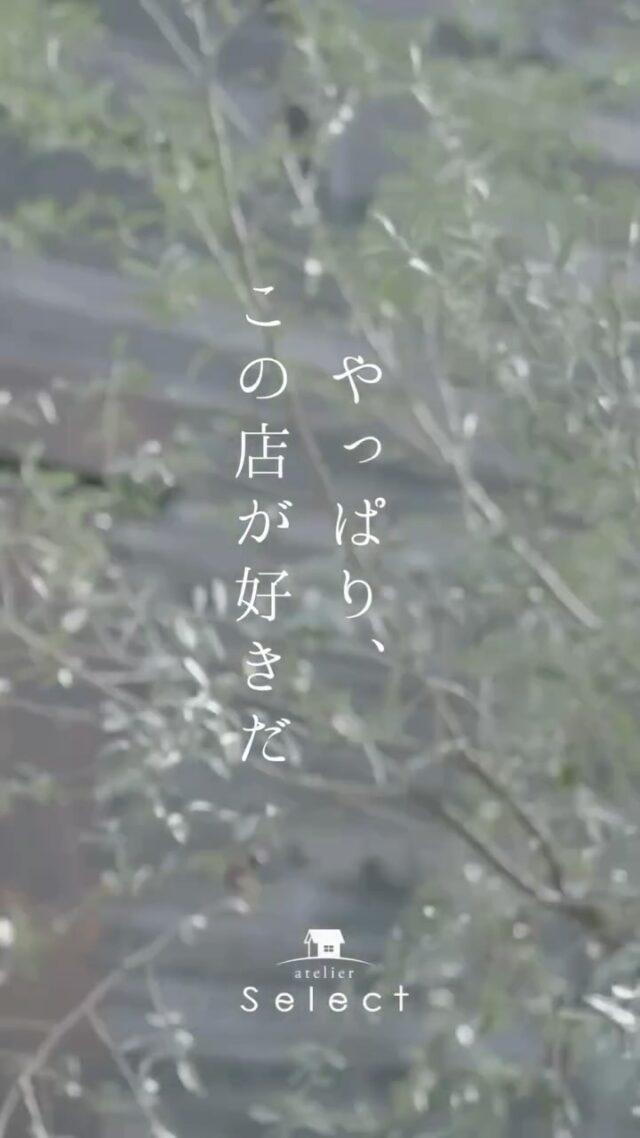 Instagram 投稿 18039516515495950